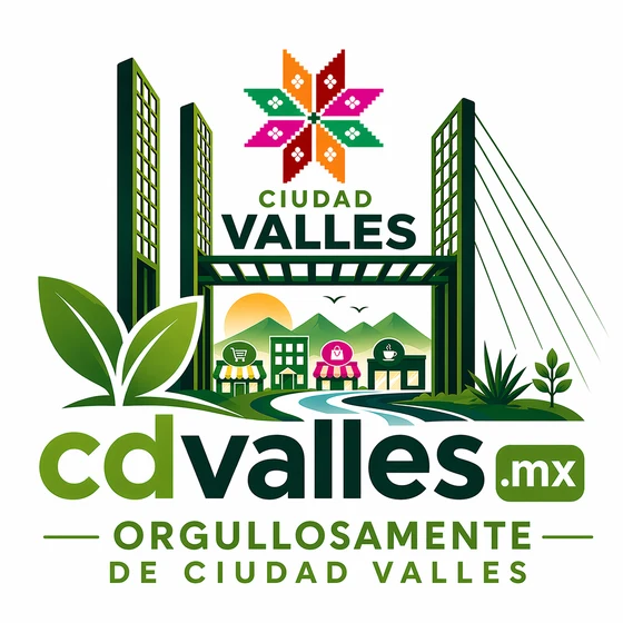 CDVALLES.MX